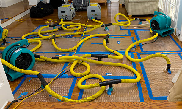 Professional Structural Drying And Dehumidification technician working in Coupland, TX